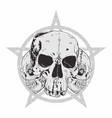 skulls vector image vector image