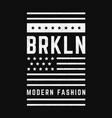 brooklyn retro vector image