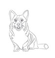 dog sitting lines vector image