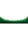 realistic green grass field curve on white vector image