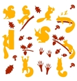 set of orange furry squirrels with nuts vector image vector image