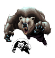 angry brown bear vector image