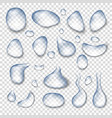drops of water vector image