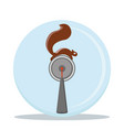 squirrel ball vector image vector image