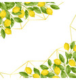 luxury lemon brunches background vector image