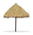 bamboo beach umbrella isolated on white vector image vector image