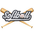 softball symbol with tag and wooden bats vector image