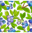 blueberry pattern on white background vector image vector image