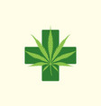 color cannabis marijuana vector image