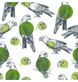 pattern with amazon parrot vector image