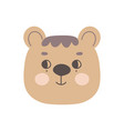 face of a cute bear cub with open eyes vector image
