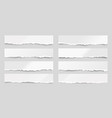 ripped paper strips realistic crumpled vector image
