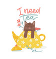 a little cat comes out of the teapot floral vector image vector image