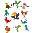 cartoon birds collection set vector image vector image