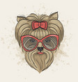 color sketch of elegant dog vector image
