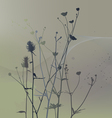 meadow weeds and dandelions silhouettes vector image vector image