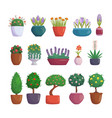 set of garden potted plants isolated on white vector image vector image