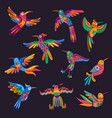 mexican hummingbirds and parrots alebrije birds vector image