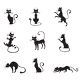 black graceful cats vector image