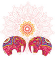 two elephants over mandala pattern vector image