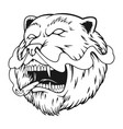 polar bear head roar smoking weed monochrome vector image
