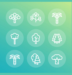 trees line icons set palm fir baobab eucalyptus vector image