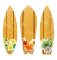 wooden surfboards with floral prints vector image vector image