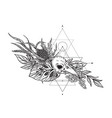black and white bird skull vector image vector image