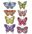 set of beautiful and colorful butterflies vector image