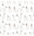 poodle in action seamless pattern vector image vector image