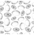 seamless lemon pattern fresh fruit sketch vector image