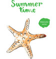 watercolor starfish vector image