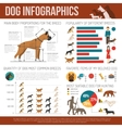 dog infographics set vector image vector image