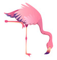 pink flamingo exotic tropical bird staying vector image vector image