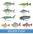 River Fish Identification Slate With Names Vector Image