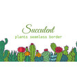succulents seamless border pattern cacti green vector image
