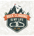vintage typography design with carabiners condor vector image