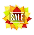 autumn sale banner vector image