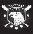 baseball club badge on the chalkboard vector image vector image