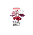 cherry juice logo template vector image vector image