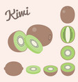 kiwi vector image