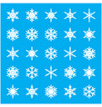 set of different winter snowflakes vector image