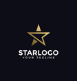 luxury abstract gold star logo design template vector image vector image