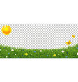green grass border with flowers and sun isolated vector image vector image