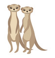 cartoon meerkats meerkat vector image vector image