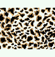 predatory leopard print stylized abstract texture vector image