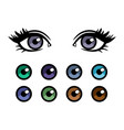 color contact lenses poster with female eyes vector image