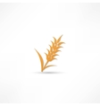 ears of wheat barley or rye visual graphic icons vector image