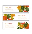 advertising banners with autumn leaves vector image vector image