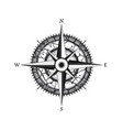 windrose compass with cracks vector image